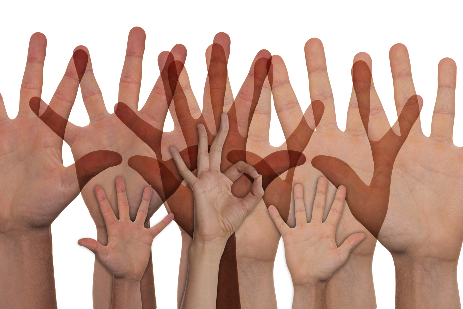 Nine arms and hands raised - different sizes and colours